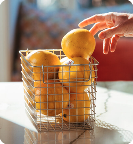 pamplemousse de floride